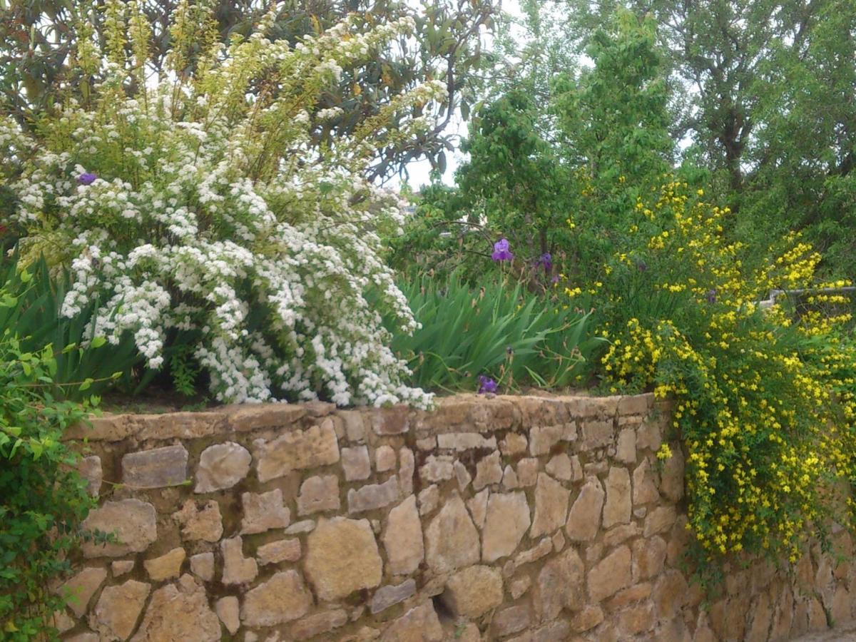 Hébergement de vacances El Campito - *