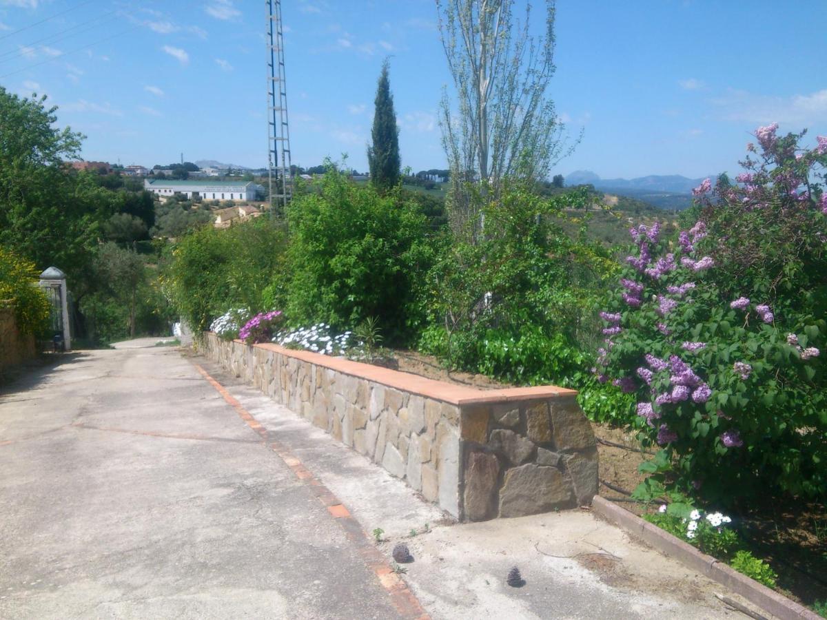 El Campito -
